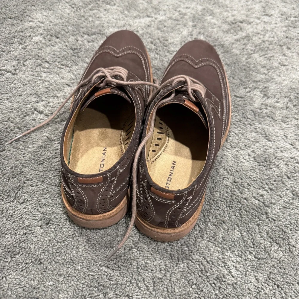 Bostonian stylish brown